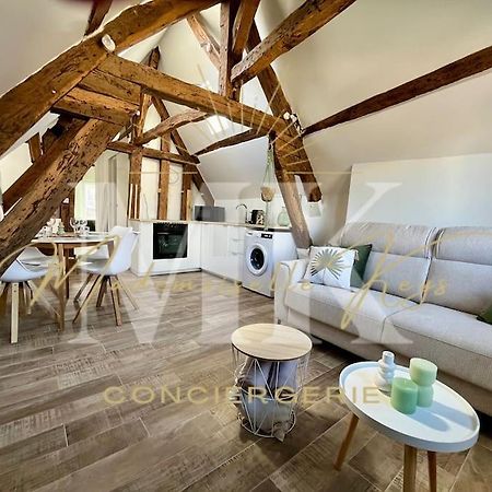 Le Cosy - Hyper Centre Ville Санс Экстерьер фото