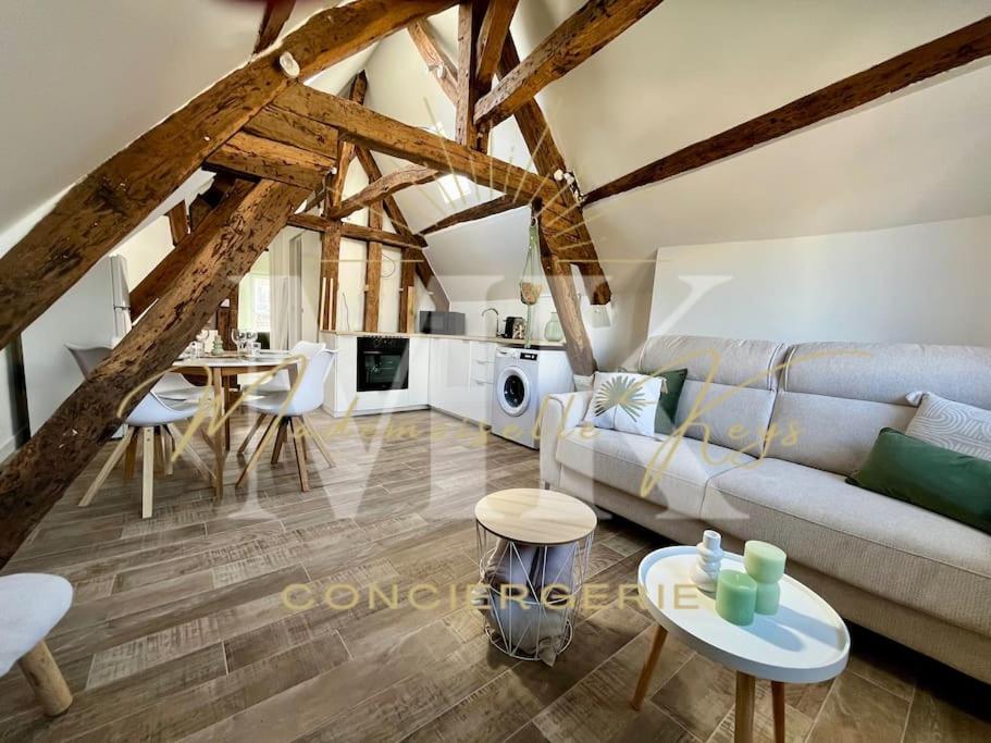 Le Cosy - Hyper Centre Ville Санс Экстерьер фото